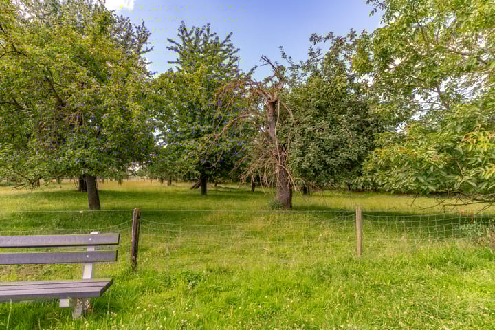 Foto 64 van Grote Straat 62