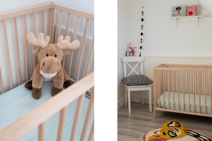 Foto 19 van Prins Mauritssingel 25-C