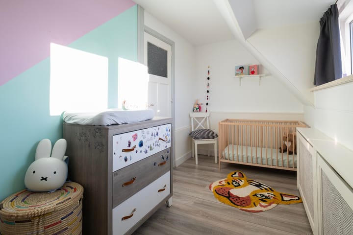 Foto 22 van Prins Mauritssingel 25-C