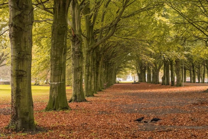 Foto 32 van Maystraat 79