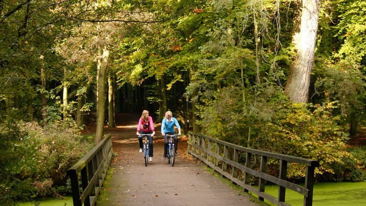 Foto 33 van Maystraat 79