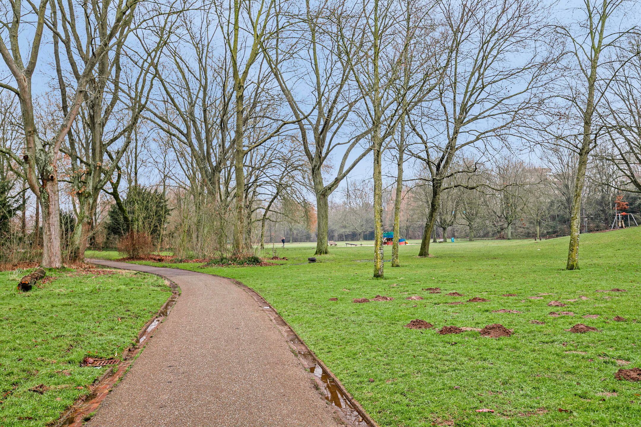 Foto 36 van Lauwerszeeweg 21