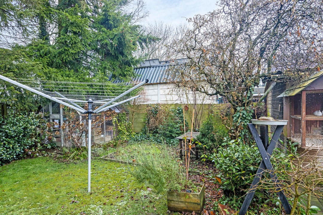 Photo 41 of Dennenkamp 11