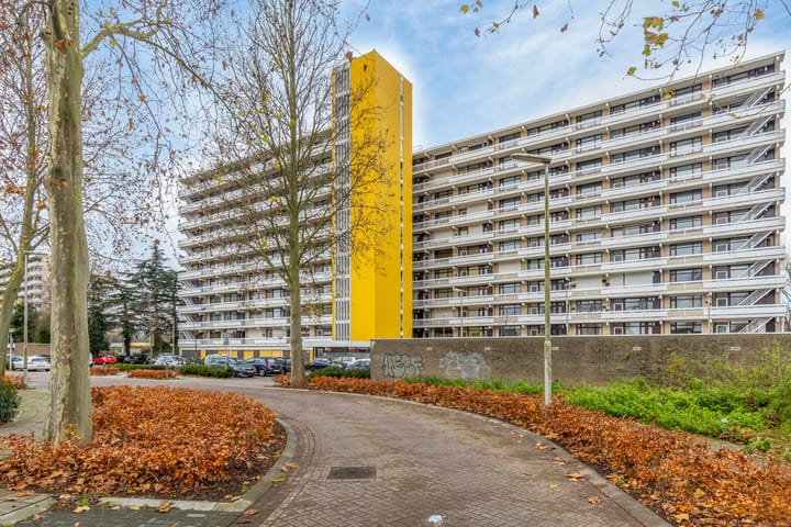 Foto 1 van de Koppele 459