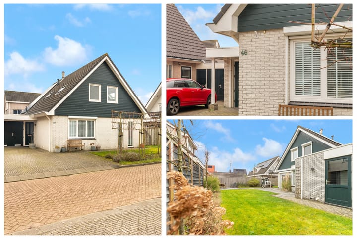 Foto 2 van Delving 46