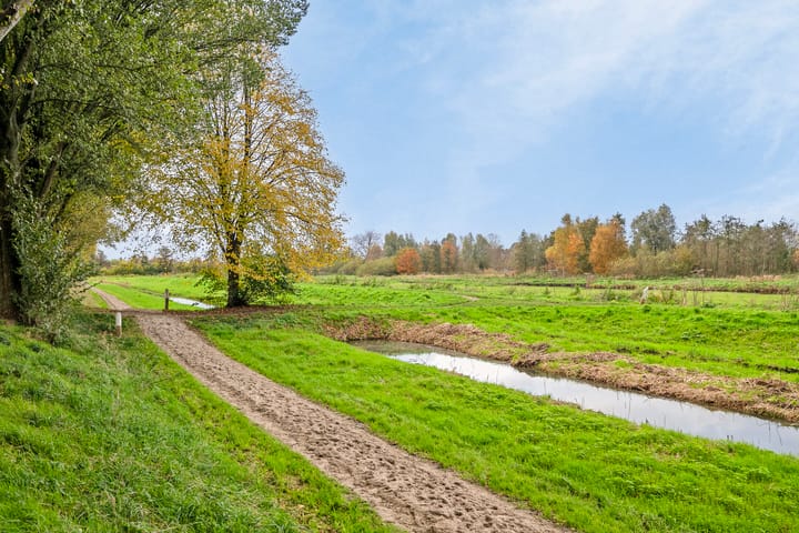 Foto 38 van Korianderveld 5