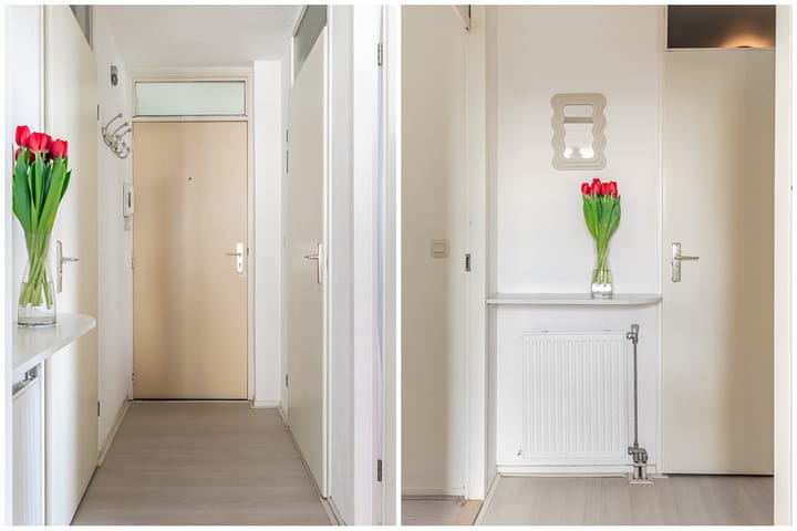 Foto 4 van Narcisplantsoen 31