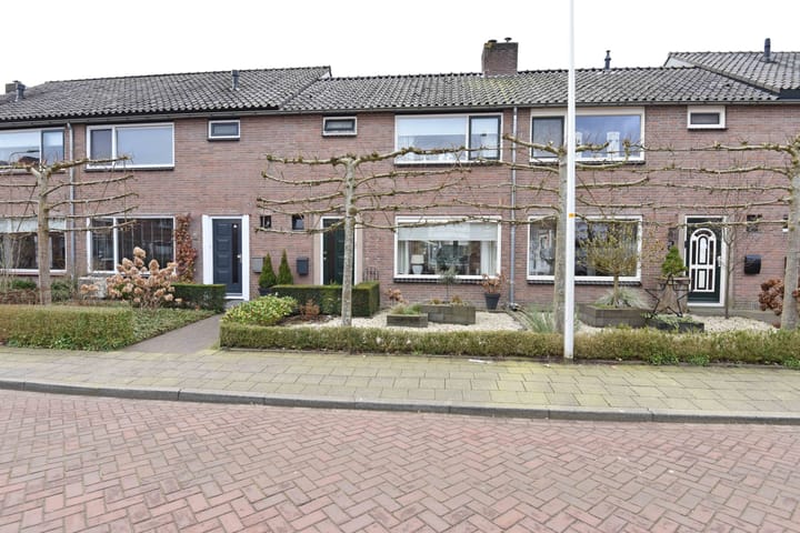 undefined main image