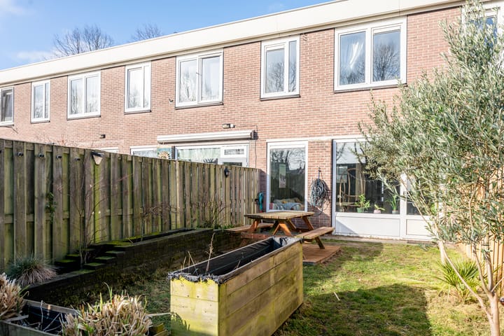 Foto 15 van Dolfijnhof 15