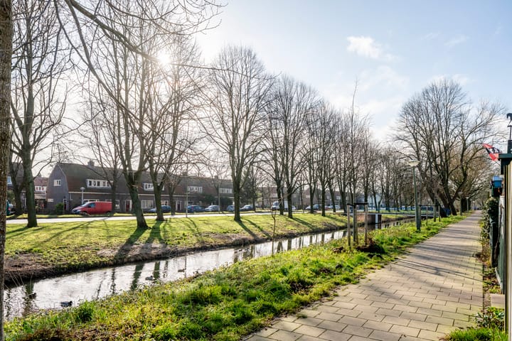 Foto 36 van Dolfijnhof 15