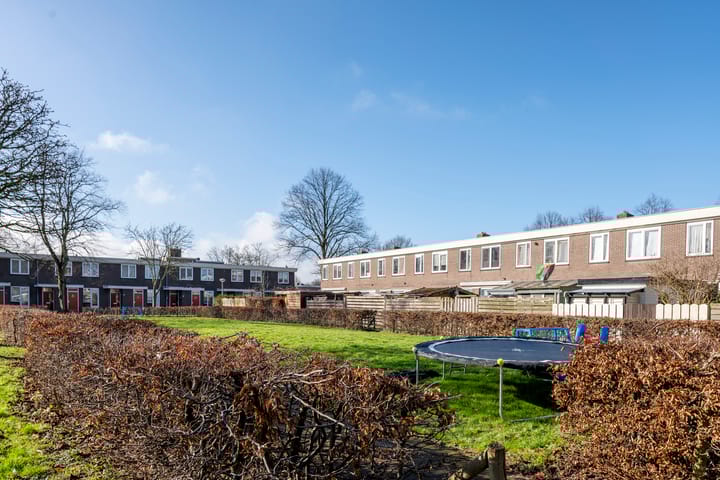 Foto 40 van Dolfijnhof 15