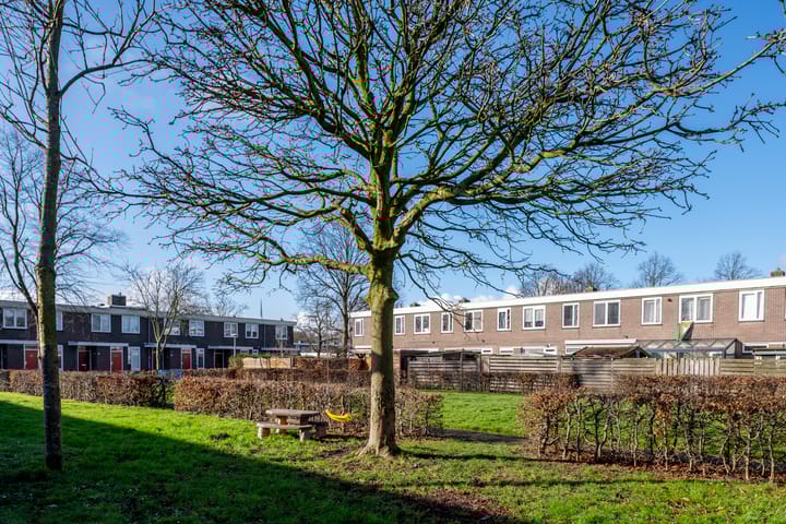 Foto 41 van Dolfijnhof 15