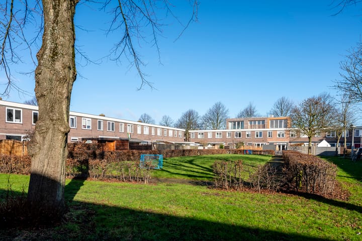 Foto 42 van Dolfijnhof 15