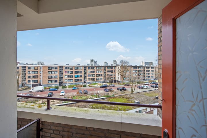 Photo 17 of Dignaland 34