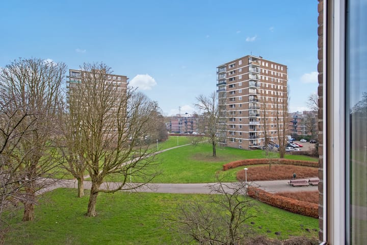 Photo 26 of Dignaland 34