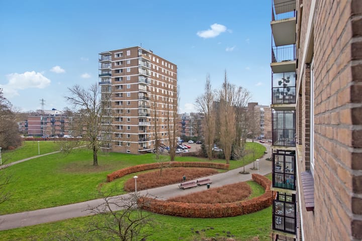 Photo 27 of Dignaland 34