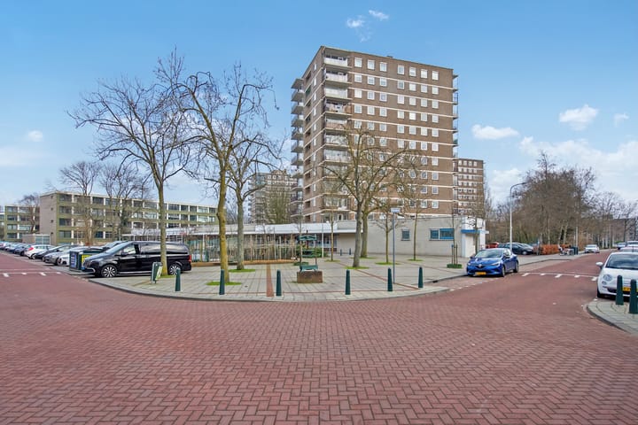 Photo 28 of Dignaland 34