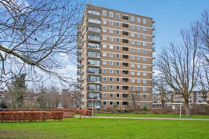 Photo 29 of Dignaland 34