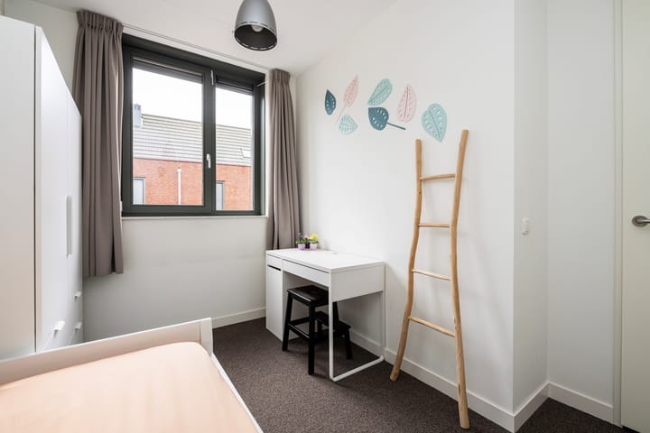 Foto 20 van Rosariumstraat 3