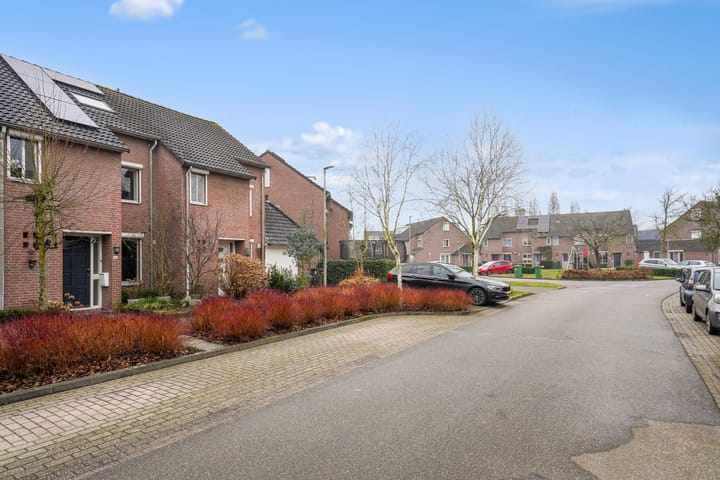 Foto 37 van Wolgaplantsoen 50