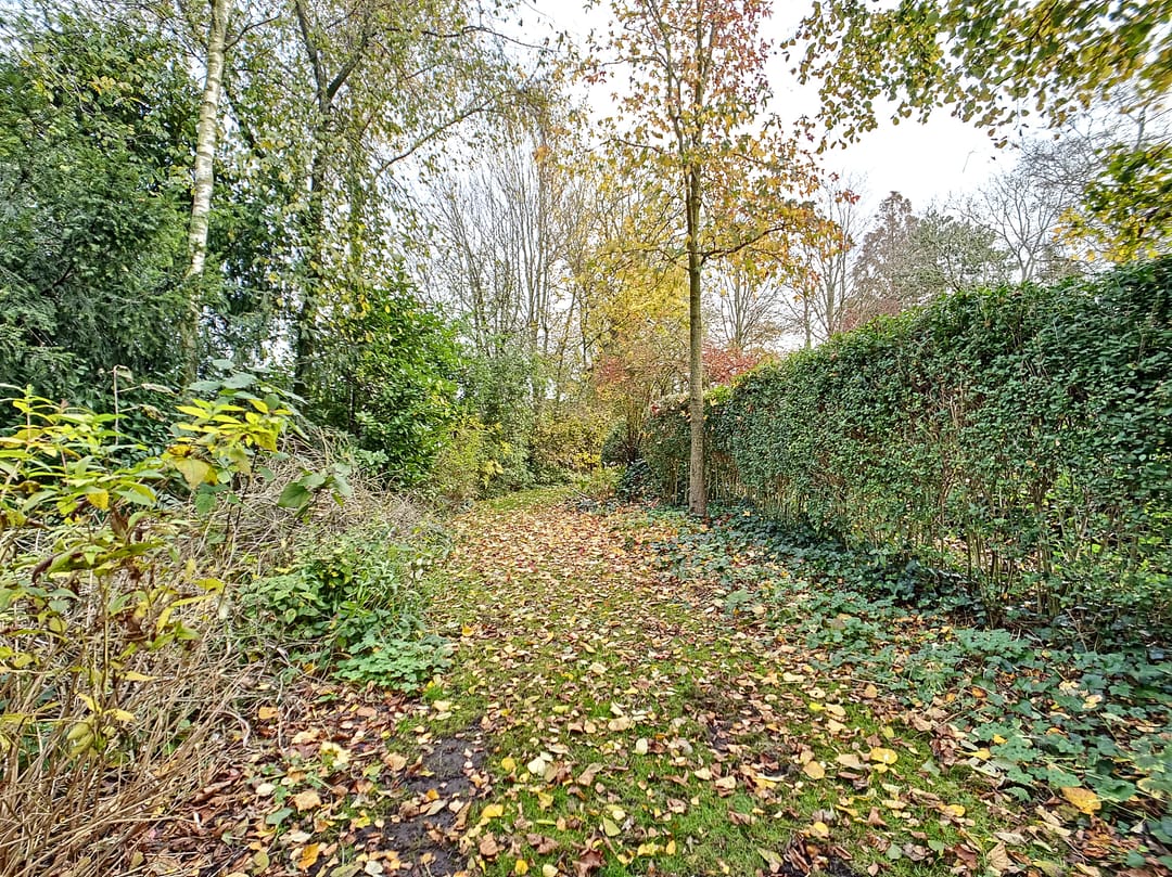 Foto 38 van Markt 13