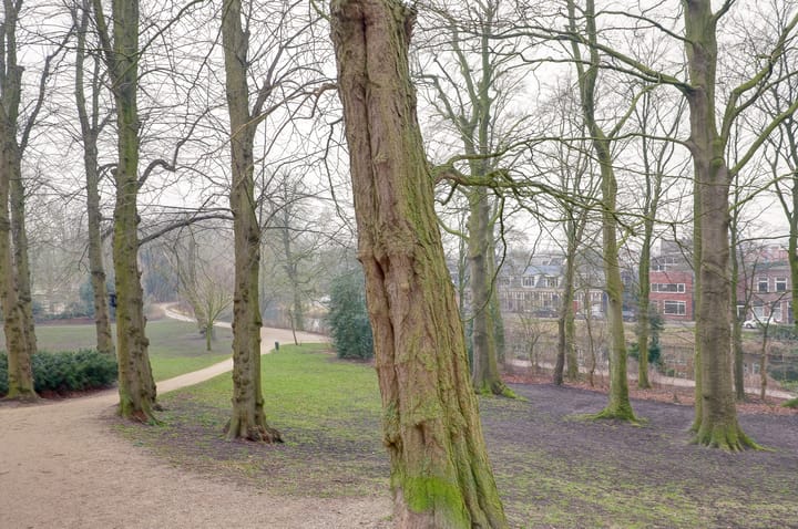 Foto 48 van Grachtstraat 48