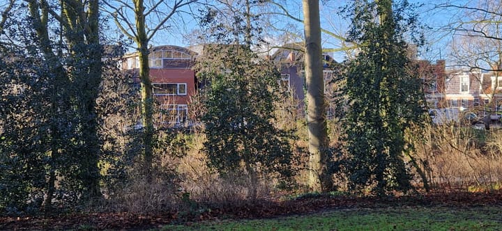 Foto 49 van Grachtstraat 48