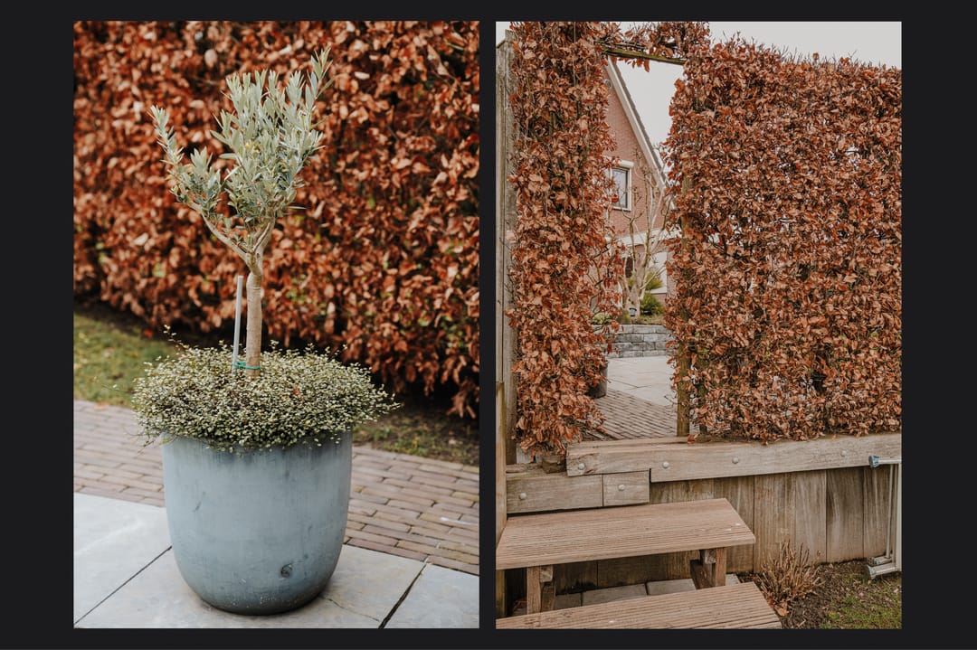 Foto 38 van Weth. W. Keukenstraat 6