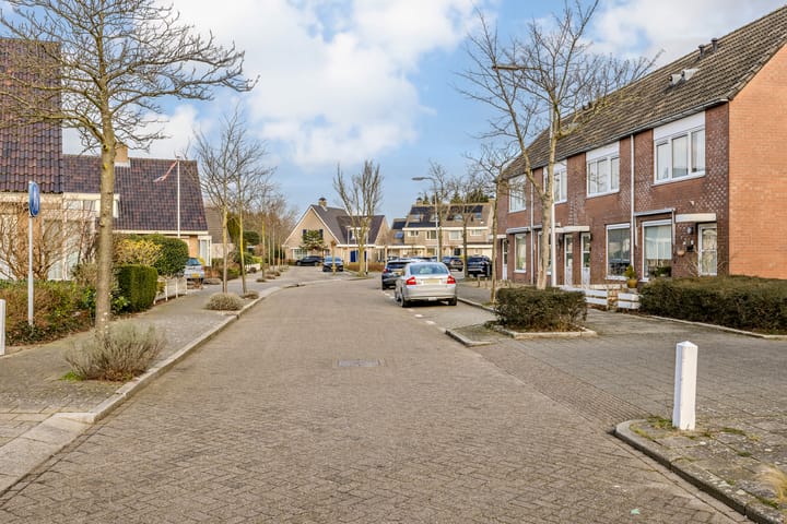 Foto 61 van Duizendschoon 17