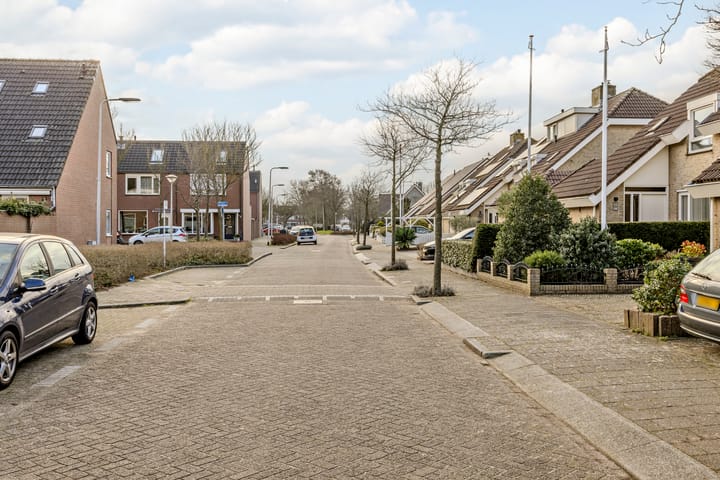 Foto 62 van Duizendschoon 17