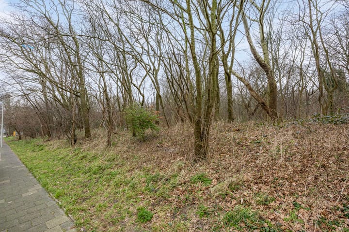 Foto 29 van Teunisbloemplein 20