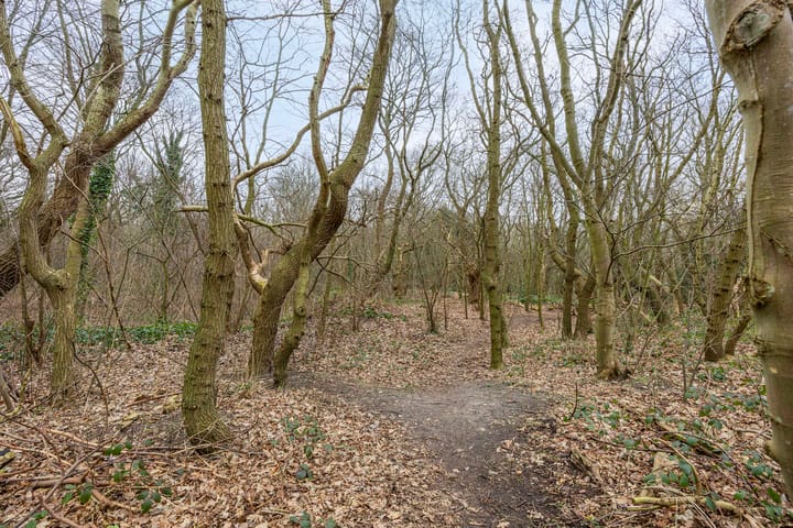 Foto 30 van Teunisbloemplein 20