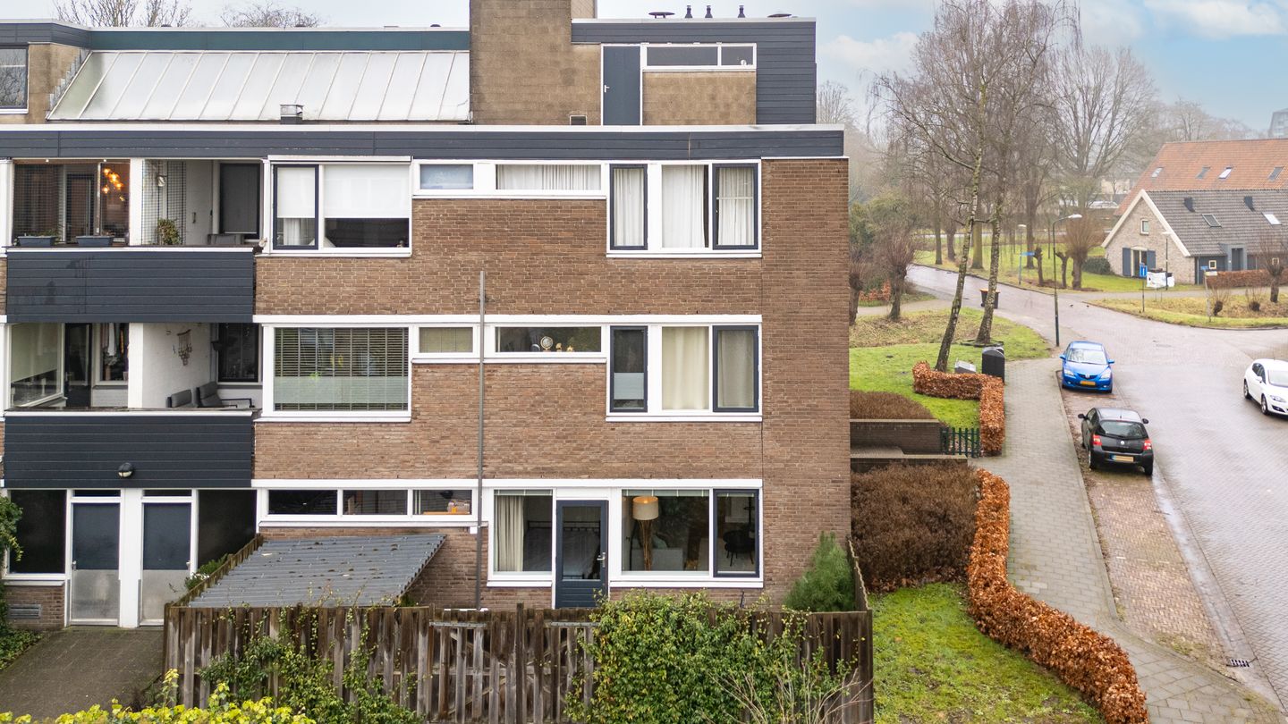 Foto 1 van Hondsdraf 41