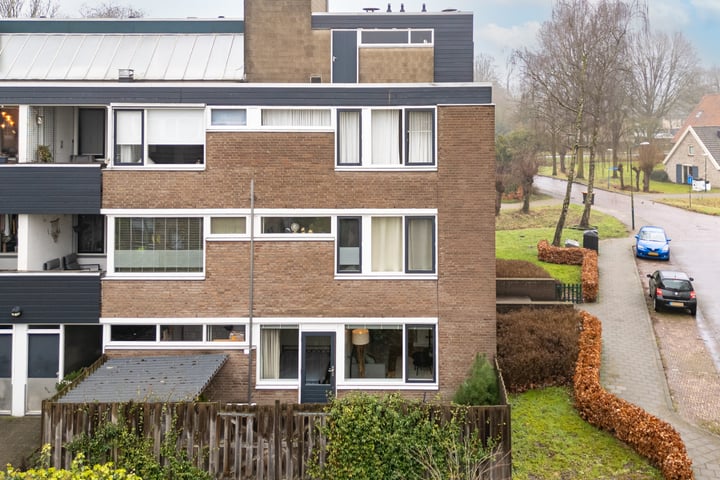 Bekijk foto van Hondsdraf 41