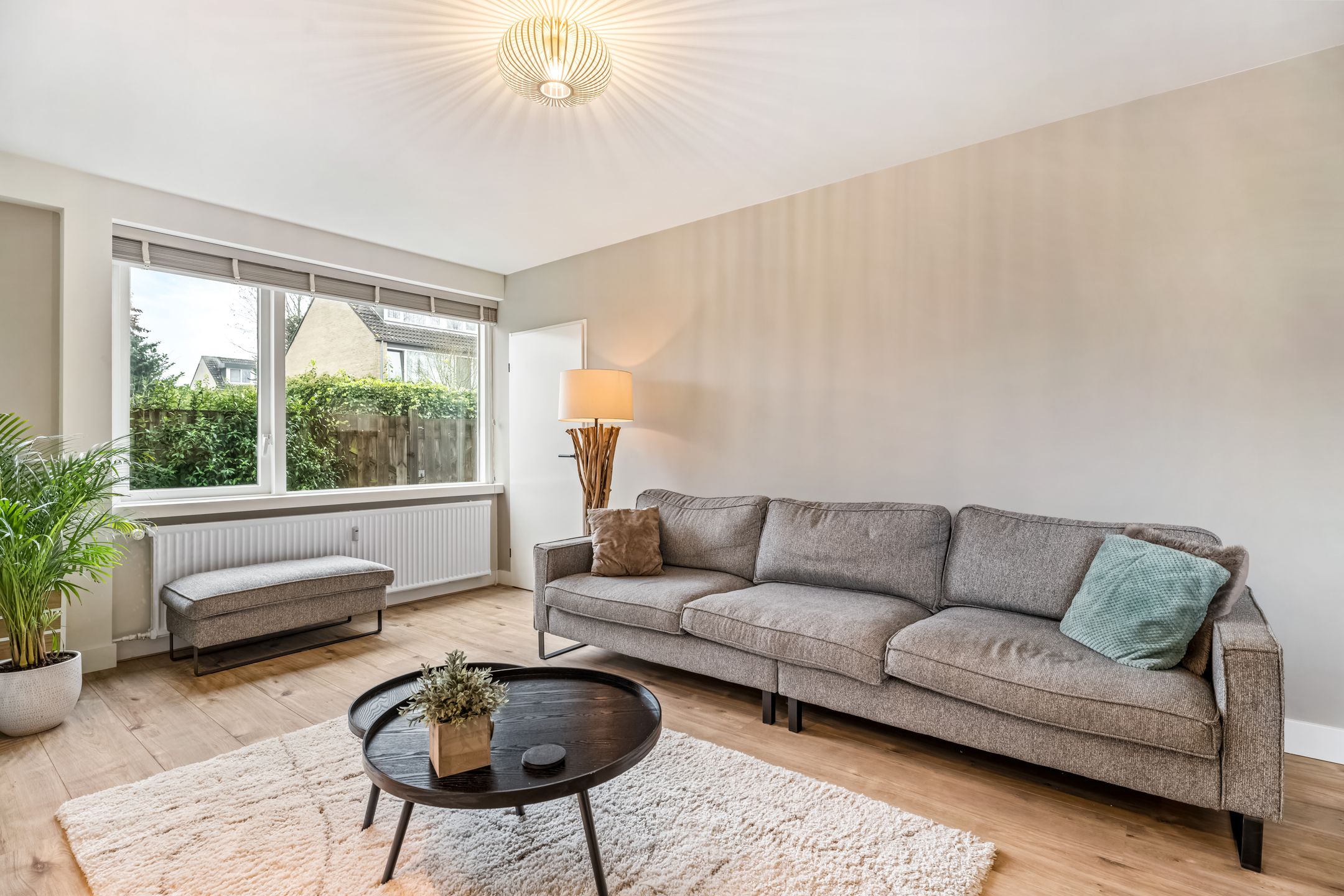 Foto 3 van Hondsdraf 41