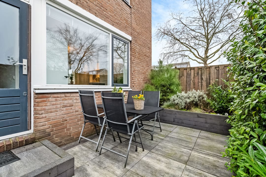 Foto 17 van Hondsdraf 41