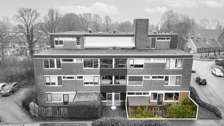 Foto 18 van Hondsdraf 41