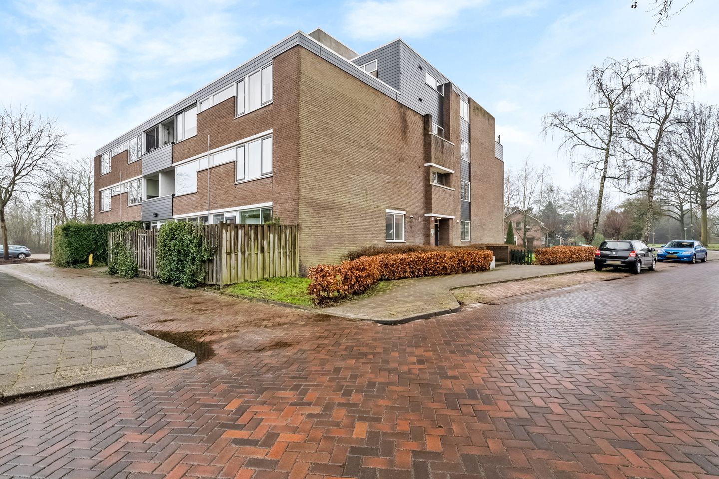 Foto 19 van Hondsdraf 41