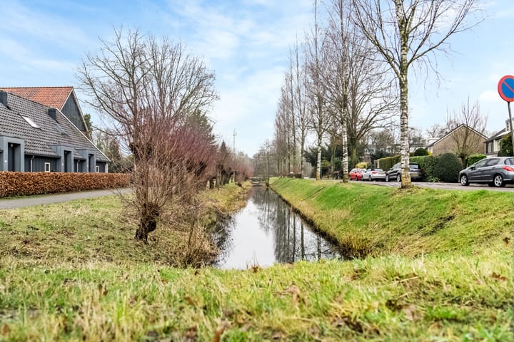 Foto 20 van Hondsdraf 41