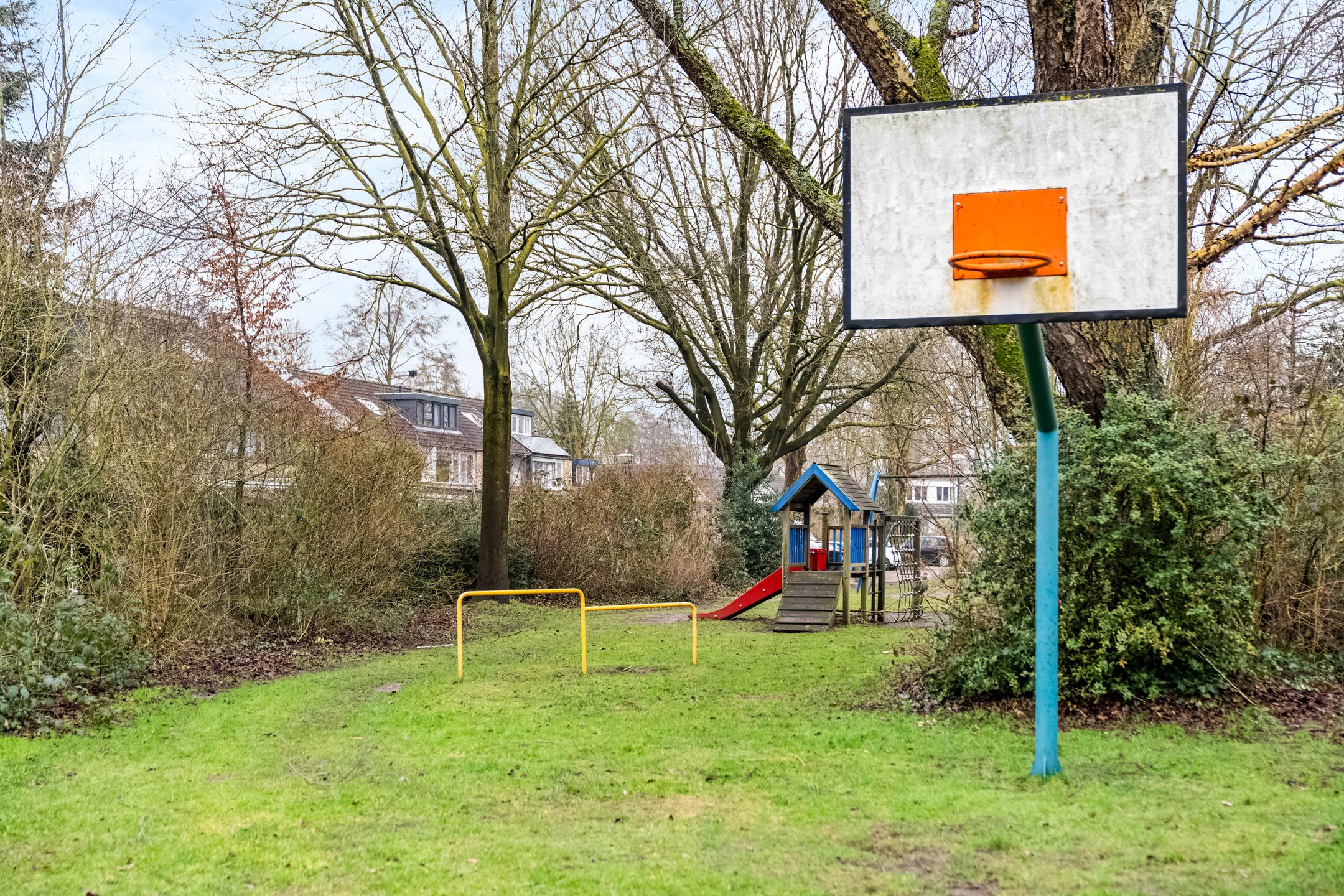 Foto 21 van Hondsdraf 41