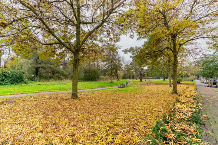 Foto 23 van Oudemansstraat 491