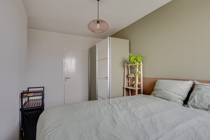 Foto 12 van Maassingel 254