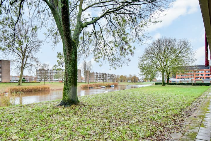 Foto 18 van Maassingel 254