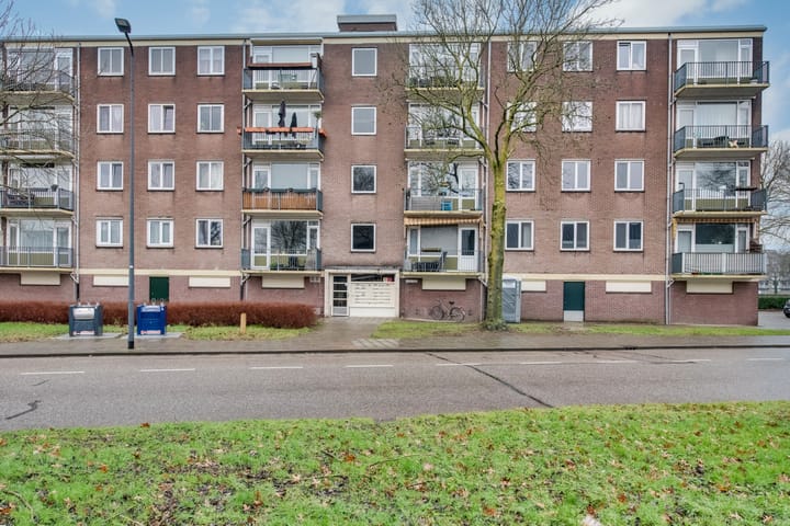 Foto 20 van Maassingel 254