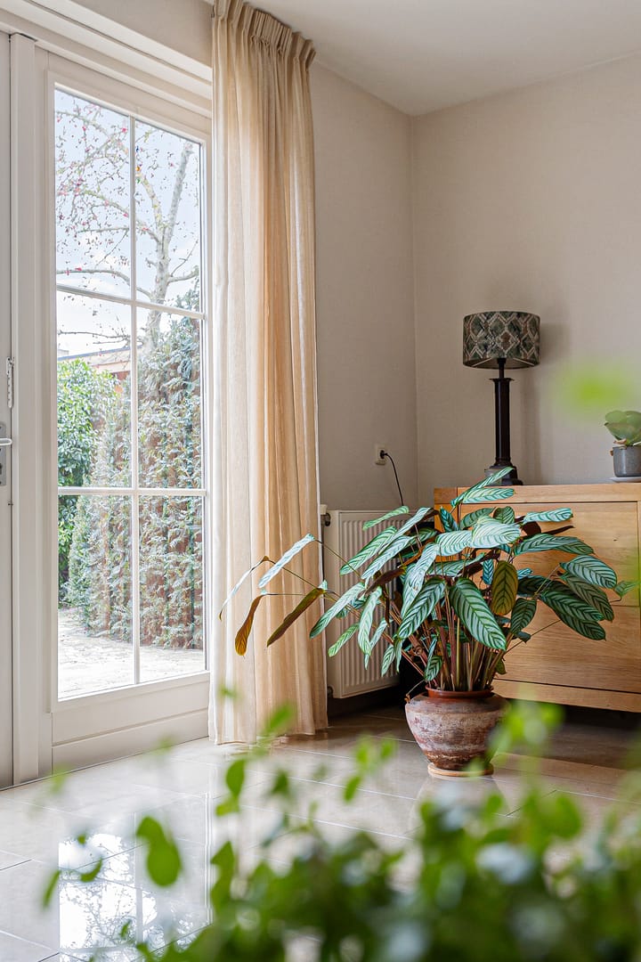 Foto 16 van Daglicht 3