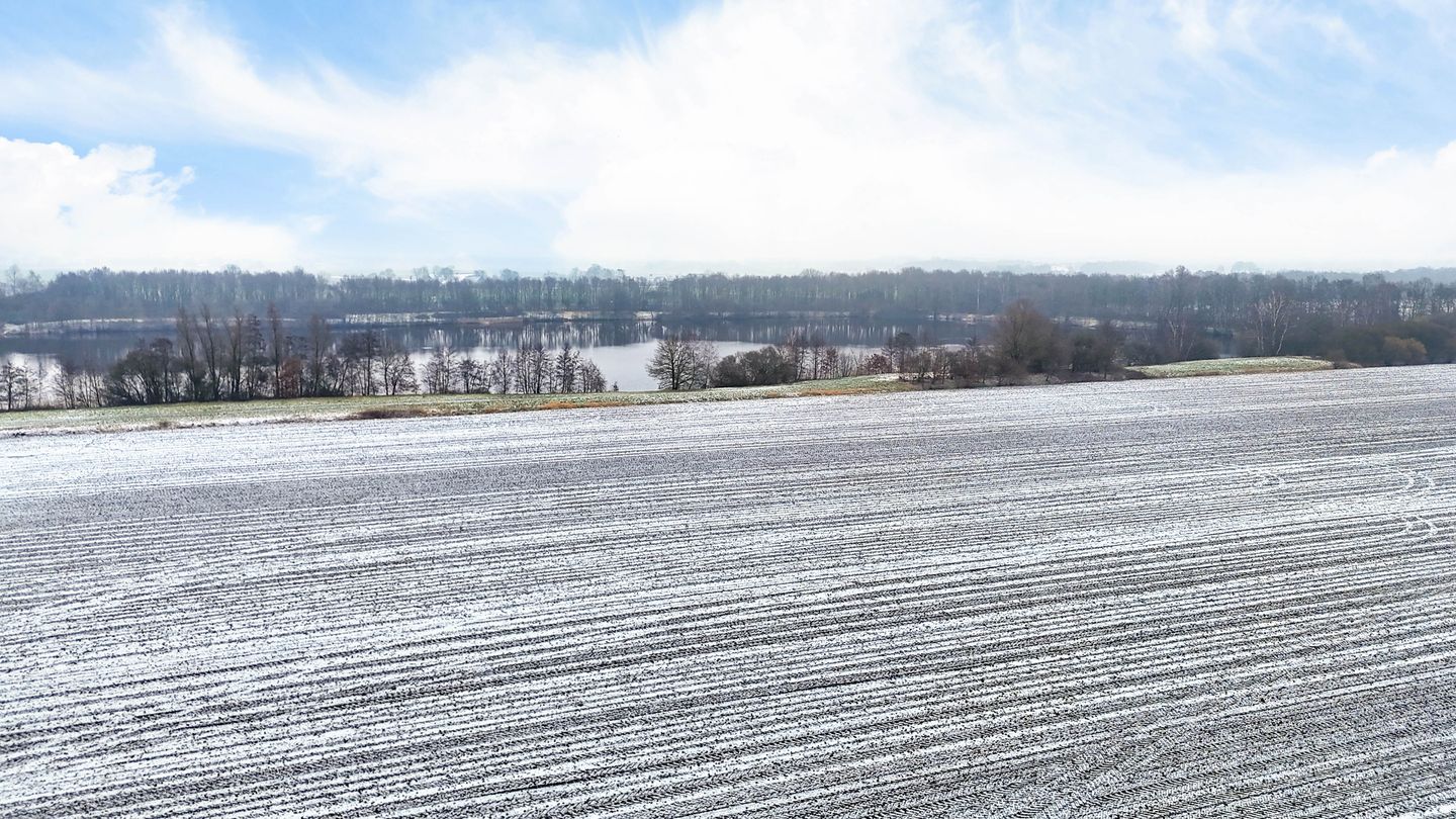 Photo 50 of Daglicht 3