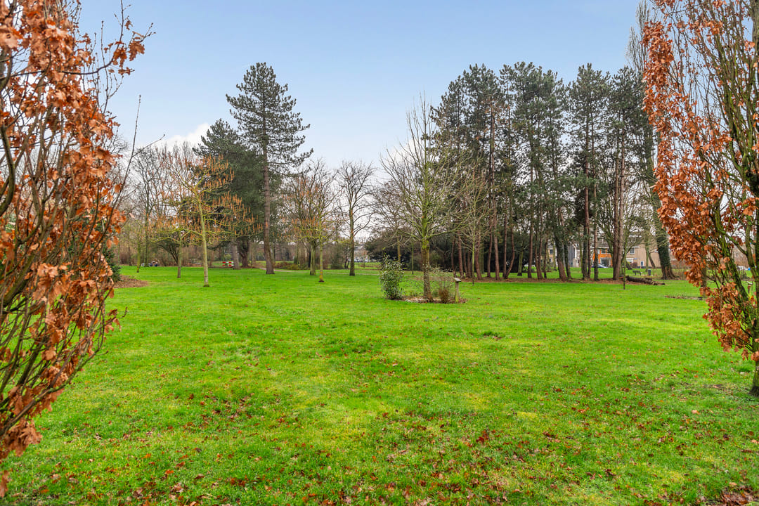 Foto 46 van Fazantstraat 13