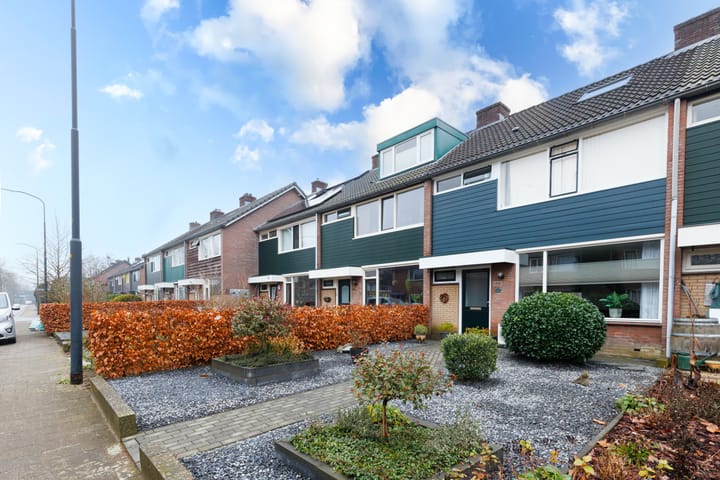 Foto 6 van Schoutenveld 323