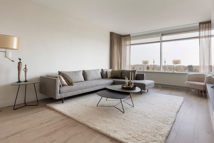 Foto 3 van Loolaan 27-100