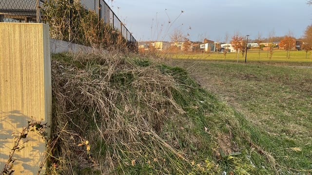 Photo 12 of Hoefblad 43